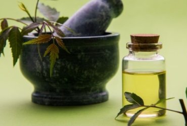 Best Ayurvedic Hair Oil For Premature Greying