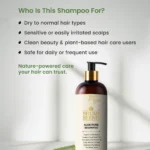 Aloe Pure Shampoo for dry to normal hair and sensitive scalp
